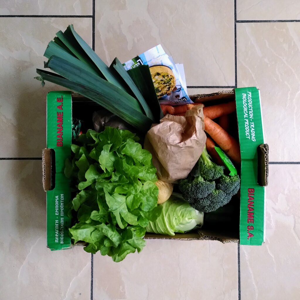 Cardboard box containing leek, lettuce, broccoli and other yummy veggies 