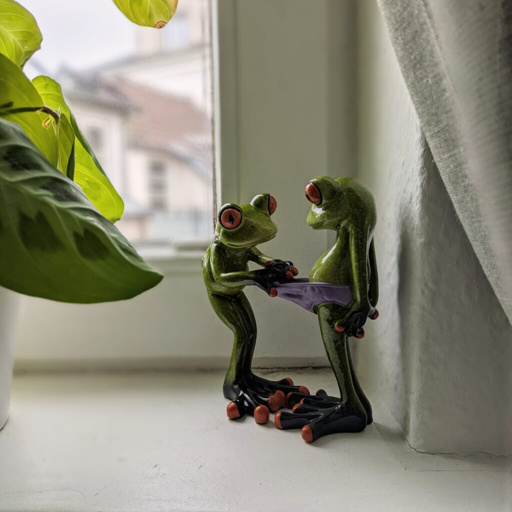 Small ceramic statue of two humanoid, upright standing frogs. The one on the right is wearing purple underpants. The one on the left is pulling those pants forward as if to take a peek.